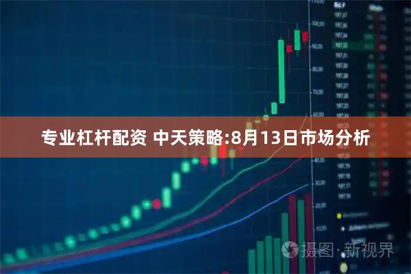 专业杠杆配资 中天策略:8月13日市场分析